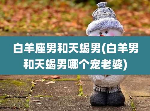 白羊座男和天蝎男(白羊男和天蝎男哪个宠老婆)