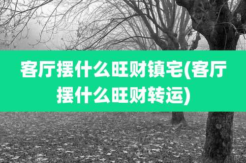 客厅摆什么旺财镇宅(客厅摆什么旺财转运)