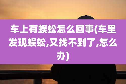 车上有蜈蚣怎么回事(车里发现蜈蚣,又找不到了,怎么办)