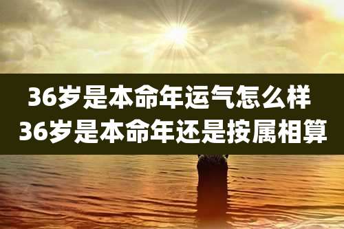 36岁是本命年运气怎么样 36岁是本命年还是按属相算