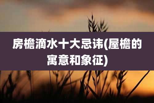 房檐滴水十大忌讳(屋檐的寓意和象征)