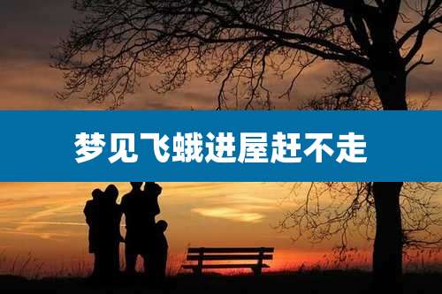 梦见飞蛾进屋赶不走