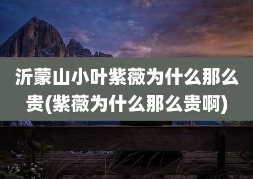 沂蒙山小叶紫薇为什么那么贵(紫薇为什么那么贵啊)