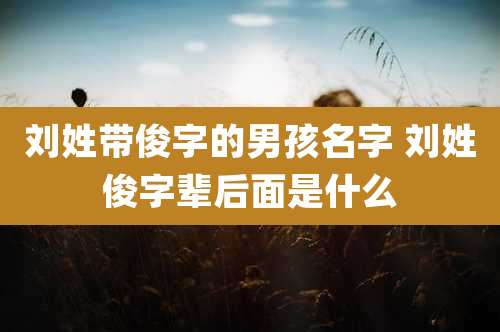 刘姓带俊字的男孩名字 刘姓俊字辈后面是什么