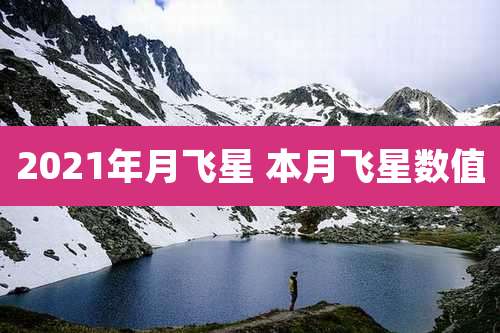 2021年月飞星 本月飞星数值