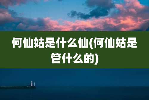 何仙姑是什么仙(何仙姑是管什么的)