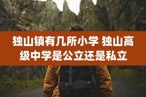 独山镇有几所小学 独山高级中学是公立还是私立