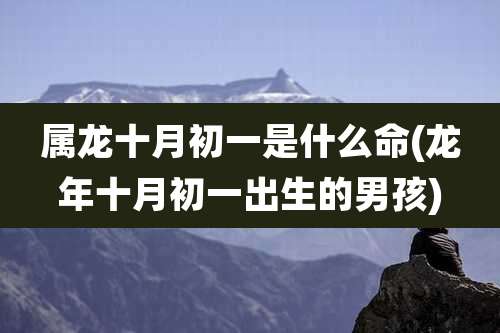 属龙十月初一是什么命(龙年十月初一出生的男孩)