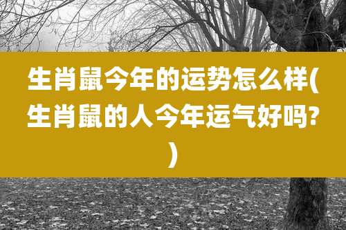 生肖鼠今年的运势怎么样(生肖鼠的人今年运气好吗?)