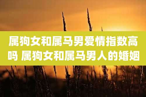 属狗女和属马男爱情指数高吗 属狗女和属马男人的婚姻