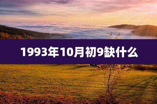 1993年10月初9缺什么