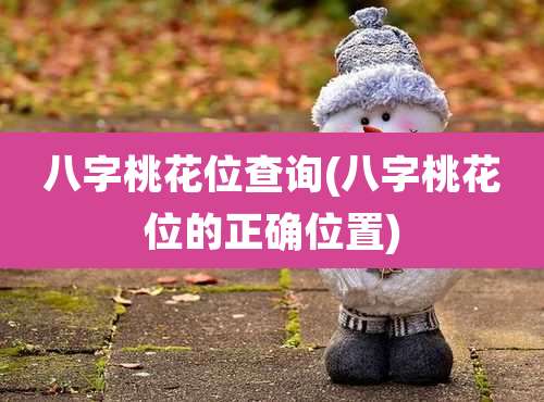 八字桃花位查询(八字桃花位的正确位置)