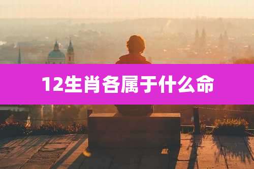 12生肖各属于什么命