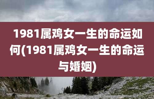 1981属鸡女一生的命运如何(1981属鸡女一生的命运与婚姻)