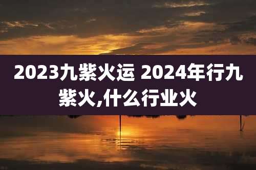 2023九紫火运 2024年行九紫火,什么行业火