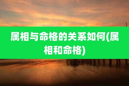 属相与命格的关系如何(属相和命格)