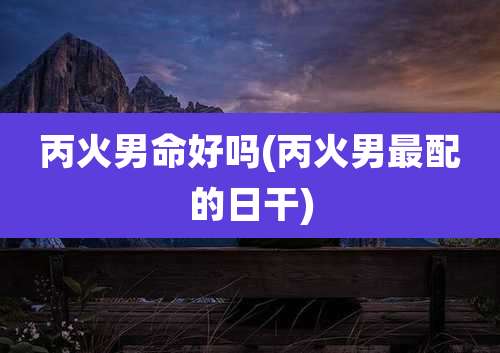丙火男命好吗(丙火男最配的日干)