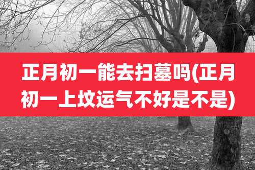 正月初一能去扫墓吗(正月初一上坟运气不好是不是)