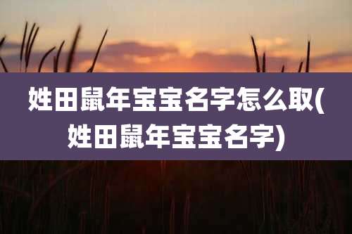姓田鼠年宝宝名字怎么取(姓田鼠年宝宝名字)
