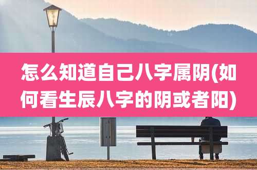 怎么知道自己八字属阴(如何看生辰八字的阴或者阳)