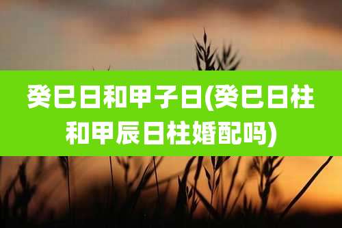 癸巳日和甲子日(癸巳日柱和甲辰日柱婚配吗)