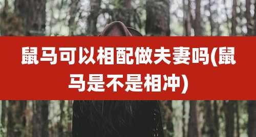 鼠马可以相配做夫妻吗(鼠马是不是相冲)