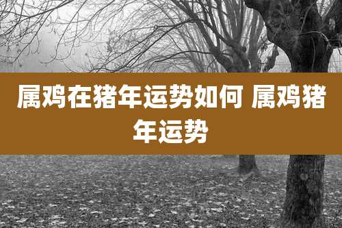 属鸡在猪年运势如何 属鸡猪年运势