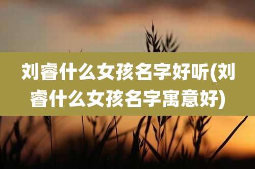 刘睿什么女孩名字好听(刘睿什么女孩名字寓意好)
