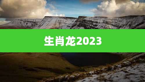 生肖龙2023