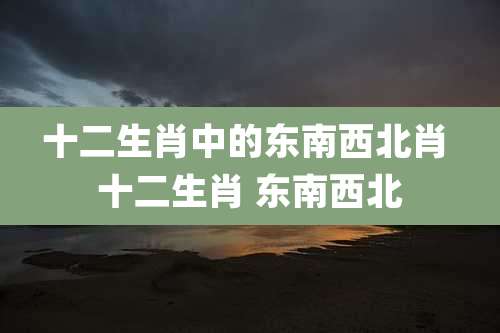 十二生肖中的东南西北肖 十二生肖 东南西北