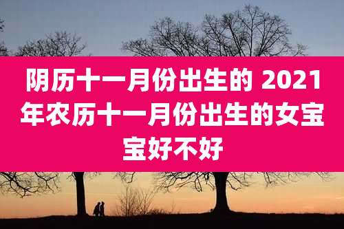 阴历十一月份出生的 2021年农历十一月份出生的女宝宝好不好