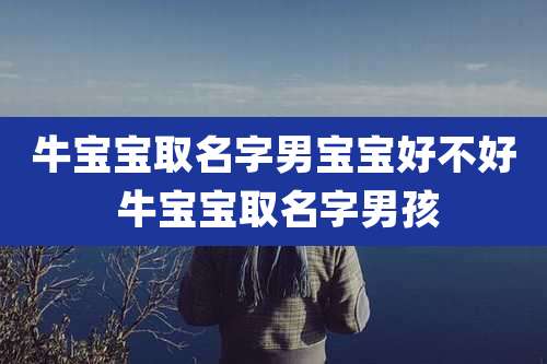 牛宝宝取名字男宝宝好不好 牛宝宝取名字男孩