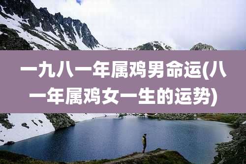 一九八一年属鸡男命运(八一年属鸡女一生的运势)