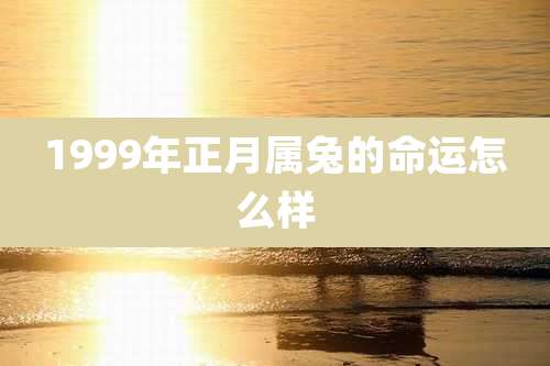 1999年正月属兔的命运怎么样