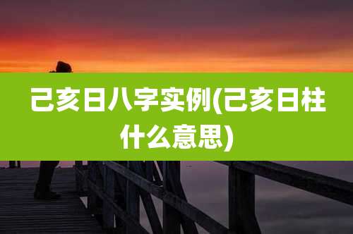 己亥日八字实例(己亥日柱什么意思)