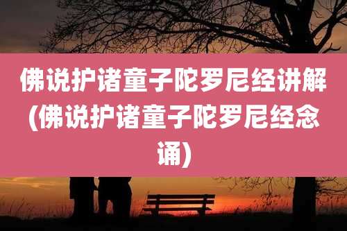 佛说护诸童子陀罗尼经讲解(佛说护诸童子陀罗尼经念诵)