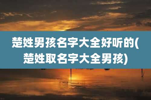 楚姓男孩名字大全好听的(楚姓取名字大全男孩)