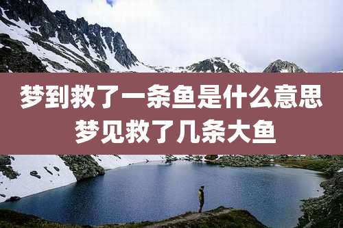 梦到救了一条鱼是什么意思 梦见救了几条大鱼