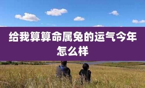 给我算算命属兔的运气今年怎么样