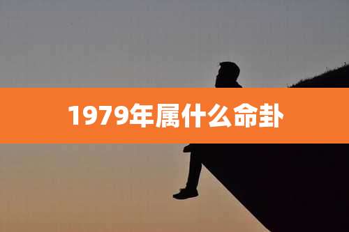 1979年属什么命卦