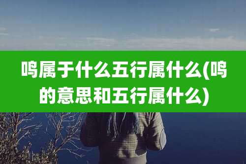 鸣属于什么五行属什么(鸣的意思和五行属什么)