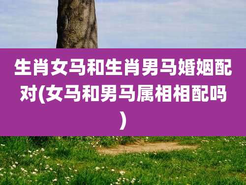 生肖女马和生肖男马婚姻配对(女马和男马属相相配吗)