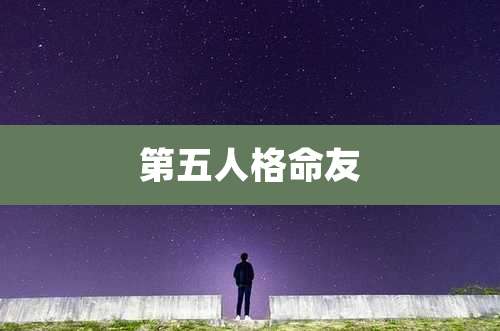 第五人格命友