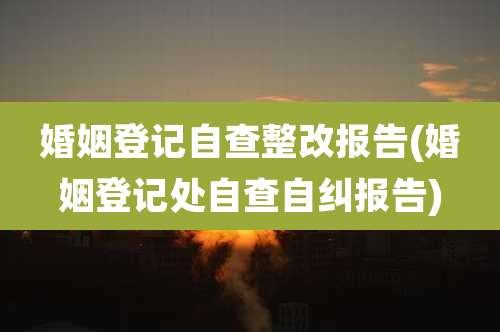 婚姻登记自查整改报告(婚姻登记处自查自纠报告)