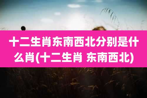 十二生肖东南西北分别是什么肖(十二生肖 东南西北)