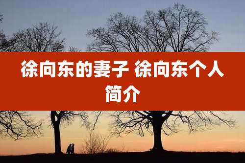 徐向东的妻子 徐向东个人简介