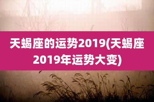 天蝎座的运势2019(天蝎座2019年运势大变)