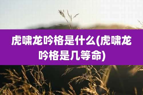 虎啸龙吟格是什么(虎啸龙吟格是几等命)