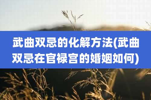武曲双忌的化解方法(武曲双忌在官禄宫的婚姻如何)