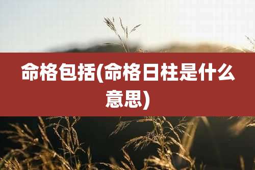 命格包括(命格日柱是什么意思)